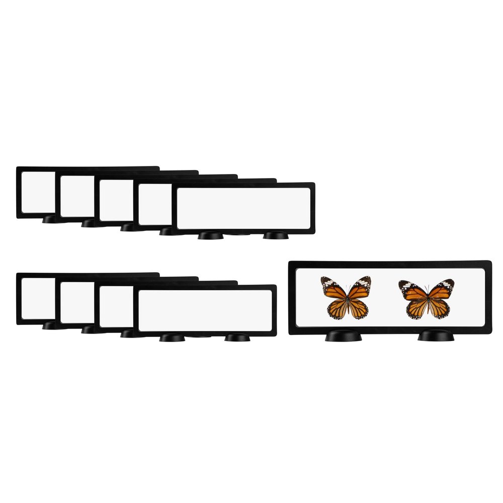 Restaurantware Memorabilia Display Box 10 Count 11.81 x 4.33 x 0.79 Inches Plastic Floating Display Frame 3D Secure Display Case Black