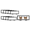 Restaurantware Memorabilia Display Box 10 Count 11.81 x 4.33 x 0.79 Inches Plastic Floating Display Frame 3D Secure Display Case Black view 1