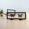 Restaurantware Memorabilia Display Box 10 Count 11.81 x 4.33 x 0.79 Inches Plastic Floating Display Frame 3D Secure Display Case Black view 3
