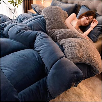 Double-Sided Velvet Winter Quilt, Super Warm Lamb Quilt Winter Blanket, Super Soft Insulation Hibiscus Thick Bed Blanket, Soft Flannel + Lamb Velvet Fabric, Warm Gift,Pink,Grey 5, 200x230cm(4kg)
