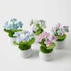 Losaky Knitting Crochet Forget Me Not Flowers Potted Plants, Gradient Forget Me Not Flowers for Wife, Girlfriend and Women, Handmade Flowers for Car Decoration, Home Decoration. view 3
