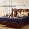 BEDLORE Waterproof Mattress Protector, Queen Size Mattress Pad with Deep Pocket 6"-18" Depth, Soft Dirt-Proof Double Bed Mattress Cover for Bedroom, College Dorm, Hotel (Navy Blue) view 2