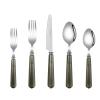 20 Piece Western Cutlery Set with Pearlescent Handles,Knife, Fork, and Spoon SetSet for 4 (Iron gray) view 1