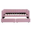 Bekeknlny Twin Size Upholstered Daybed with Ergonomic Design Backrest and 2 Drawers, Velvet Sofa Bed for Kids, Bedroom, Dorm, No Spring Box Need (Pink/Velvet, Twin) view 4