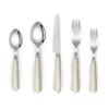 20 Piece Western Cutlery Set with Pearlescent Handles,Knife, Fork, and Spoon SetSet for 4 (Milky coffee color) view 1