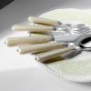 20 Piece Western Cutlery Set with Pearlescent Handles,Knife, Fork, and Spoon SetSet for 4 (Milky coffee color) view 2