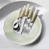 20 Piece Western Cutlery Set with Pearlescent Handles,Knife, Fork, and Spoon SetSet for 4 (Milky coffee color) view 3