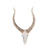 LaseVe Wall Decor Wall Sculpture Antelope, Head Deer Head Wall Hanging Animal Ornaments Living Room Coffee Shop Wall Decoration Resin Wall Decoration view 1