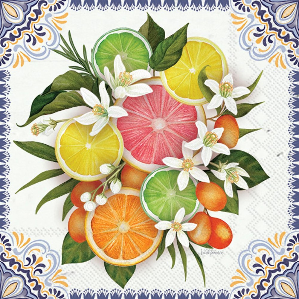 IHR Ideal Home Range Cocktail Napkins Disposable 3-Ply Paper Party Napkin Pack, 5" x 5", Mediterranean Citrus, 20-Count