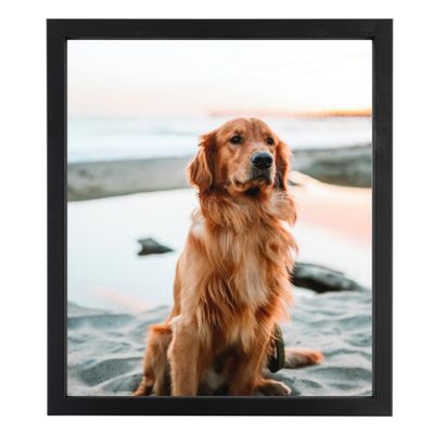 ArtToFrames 4x6 Inch Black Picture Frame, 1 - Pack, This 0.75 inch Custom Wood Poster Frame is Satin Black Short, Comes with Regular Glass (Frame_Pack_1_10010-4x6)