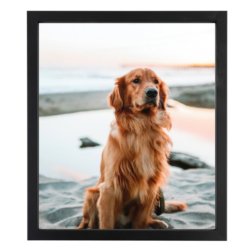 ArtToFrames 4x6 Inch Black Picture Frame, 1 - Pack, This 0.75 inch Custom Wood Poster Frame is Satin Black Short, Comes with Regular Glass (Frame_Pack_1_10010-4x6)