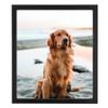 ArtToFrames 4x6 Inch Black Picture Frame, 1 - Pack, This 0.75 inch Custom Wood Poster Frame is Satin Black Short, Comes with Regular Glass (Frame_Pack_1_10010-4x6) view 1