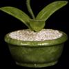 Artificial Bonsai Tree Jade Orchid Living Room Home Decoration Entrance Crafts Creative New Chinese Style Bonsai Ornament Decoration Indoor Greening Fake Tree view 4