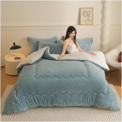 ZTGL Warm Double-Sided Velvet Comforter Core, Thicken Winter Duvet Lamb Velvet Quilt Soft Fleece Bed Blanket Thickened Warm Autumn Spring Plush Quilt for Single/Double Bed,Blue,150x200cm(2kg)