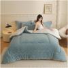 ZTGL Warm Double-Sided Velvet Comforter Core, Thicken Winter Duvet Lamb Velvet Quilt Soft Fleece Bed Blanket Thickened Warm Autumn Spring Plush Quilt for Single/Double Bed,Blue,150x200cm(2kg) view 1