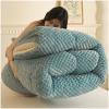 ZTGL Warm Double-Sided Velvet Comforter Core, Thicken Winter Duvet Lamb Velvet Quilt Soft Fleece Bed Blanket Thickened Warm Autumn Spring Plush Quilt for Single/Double Bed,Blue,150x200cm(2kg) view 2