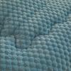 ZTGL Warm Double-Sided Velvet Comforter Core, Thicken Winter Duvet Lamb Velvet Quilt Soft Fleece Bed Blanket Thickened Warm Autumn Spring Plush Quilt for Single/Double Bed,Blue,150x200cm(2kg) view 4