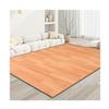 Heated Floor Mat 10-60 Adjustable Winter Electric Heating Carpet with Thermostat Heated Carpet Portable Heated Floor Rug view 1