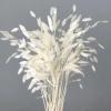 Dried Grass Bundle, 20 Stems 15-17 Inch Natural Chasmanthium Flower Bouquet for Vase, DIY Floral Arrangements, Weddings Party Home Baby Shower Elegant Decor (White) view 1