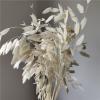 Dried Grass Bundle, 20 Stems 15-17 Inch Natural Chasmanthium Flower Bouquet for Vase, DIY Floral Arrangements, Weddings Party Home Baby Shower Elegant Decor (White) view 2