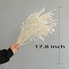 Dried Grass Bundle, 20 Stems 15-17 Inch Natural Chasmanthium Flower Bouquet for Vase, DIY Floral Arrangements, Weddings Party Home Baby Shower Elegant Decor (White) view 4