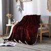 Blanket Flannel Fleece Reversible Blanket College Dorm for Couch, Bed, Sofa Ultra Luxurious Warm and Cozy for All Seasons(100 * 120cm/39.4 * 47.2in,001) view 1