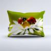 Beautiful Spring Flowers Blooming Design Comforter Set | Butterflies Insects Prints Bedding Set | with Soft Comforter+2 Pillow Shams(3PCS) or Sheet (4PCS) (C,Queen-4PCS) view 2
