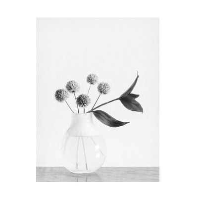 Trademark Fine Art Canvas Wall Art - Pictufy Studio 'Vase Chives Flower' Wall Art for Living Room, Bedroom, or Office Dcor