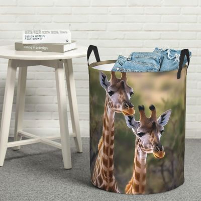 Round Laundry Basket Dirty Clothes Hamper with Handles Two Giraffes Laundry Hamper for Bathroom Waterproof Circular Hamper Lightweight Round Storage Basket for Blanket Organizer Basket