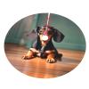 48 Inch Buffalo Plaid Check Christmas Tree Skirt,Tree Skirt Mat Decor for Xmas Party Decoration Supplies,Cute Dachshund Duggee Print view 3