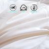 XHCTNN White Goose Down Duvet Insert Queen, Hotel Grand All Season White Goose Down and Feather Comforter Duvet - Lightweight Bedding Quilt(A,150 * 200cm/3.0kg) view 3