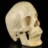 5.1" Coral Fossil Hand Carved Crystal Skull, Super Realistic, Crystal Healing1 view 3