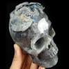 5.2" Labradorite Carved Crystal Skull & Western Dragon, Realistic, Crystal Healing view 1