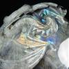 5.2" Labradorite Carved Crystal Skull & Western Dragon, Realistic, Crystal Healing view 2