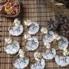 100 Pack Magnets Baby Shower Wedding Favors for Guests Bulk Resin Magnets with Thank You Tag Mini Dry Flower Guests Bridal Shower Birthday Party Present view 2