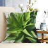 BTCOWZRV Throw Pillow Cover Green Plant with Long Leaves Print Decorative Throw Pillows Soft Pillow Cases Square Cushion Case Christmas Pillow Covers for Couch Bed Sofa Farmhouse Decor 12"x12" view 2
