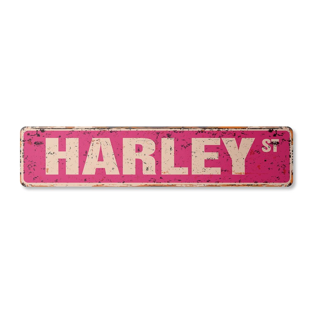 HARLEY Vintage Aluminum Street Sign Childrens Name Room Metal Sign rustic metal tin | Indoor/Outdoor | 24" Wide