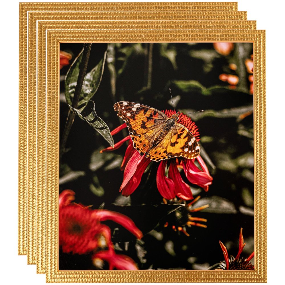ArtToFrames 22x28 Inch Gold Picture Frame, 4 - Pack, This 0.75 inch Custom Wood Poster Frame is Bright Gold, Comes with Economy Acrylic (Frame_Pack_4_D11109-22x28)