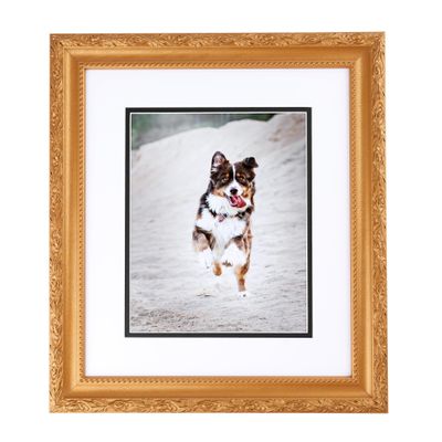 ArtToFrames 12x18 Inch Gold Picture Frame, 1 - Pack, This 1.50 inch Custom Wood Poster Frame is Bright Gold, Comes with Economy Acrylic (Frame_Pack_1_0066-82214-030-12x18)