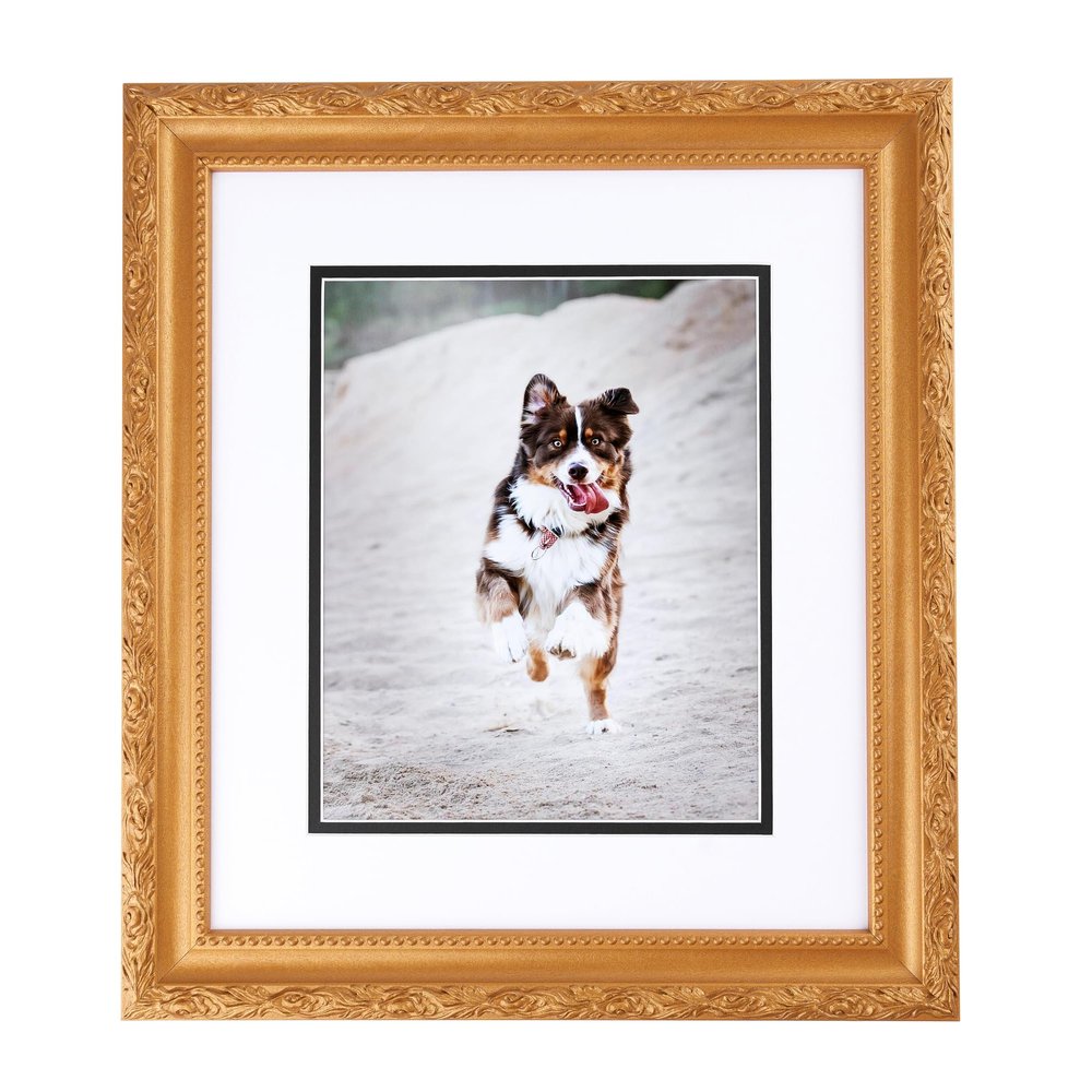 ArtToFrames 12x18 Inch Gold Picture Frame, 1 - Pack, This 1.50 inch Custom Wood Poster Frame is Bright Gold, Comes with Economy Acrylic (Frame_Pack_1_0066-82214-030-12x18)