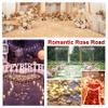 AWCCXMYM 300PCS Fake Rose Petals for Romantic Night Romantic Festive Atmosphere Creation for Marriage Proposa Wedding Valentine's Day Decoration Party Activities (Silver) view 4