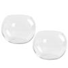 Luxshiny 2Pcs Clear Glass Vase Container 4 Inch Round Hydroponic Plant Holder Decorative Desktop Flower Pot for Home Office Hotel view 1