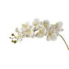 MOTUZP 2Pcs 41 Inch Artificial Orchids Flower BranchFlower Arrangement for Home Decor Party Wedding Decor[White] Phalaenopsis Branches Faux Butterfly Orchid St view 1
