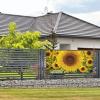 Blooming Sunflowers Print Holiday Banner Medium Personalized Background Banners Hanging Banners Birthday Banner For Indoor Outdoor Christmas Party Decorations Supplies view 3