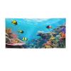 Ocean Scene Print Holiday Banner Medium Personalized Background Banners Hanging Banners Birthday Banner For Indoor Outdoor Christmas Party Decorations Supplies view 1