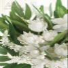 Floroom Artificial Greenery Stems Box Set, 76pcs with 6 Kinds of Faux Greenery Flowers Picks for DIY Bridal Bouquets Wedding Floral Arrangement Table Centerpieces, Green & White view 4