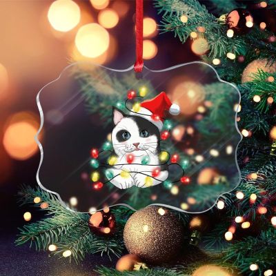 DOREENABE Clear Ornament Cat Decor for Cat Lovers Funny Commemorative Ornaments & Gift Cat with Christmas String Lights Colorful Customized Clear Ornament Xmas Gift