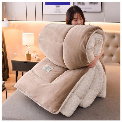 FDISDIFH 2-5kg Thickened Super Soft Winter Quilt, Breathable Warm Bed Comforter, Faux Lamb Cashmere + Milk Velvet Double Fabric, Fluffy Plush Double Sided Velvet Blanket (Khaki 220x240cm(5kg))