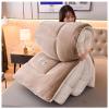 FDISDIFH 2-5kg Thickened Super Soft Winter Quilt, Breathable Warm Bed Comforter, Faux Lamb Cashmere + Milk Velvet Double Fabric, Fluffy Plush Double Sided Velvet Blanket (Khaki 220x240cm(5kg)) view 1