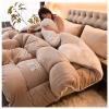 FDISDIFH 2-5kg Thickened Super Soft Winter Quilt, Breathable Warm Bed Comforter, Faux Lamb Cashmere + Milk Velvet Double Fabric, Fluffy Plush Double Sided Velvet Blanket (Khaki 220x240cm(5kg)) view 2